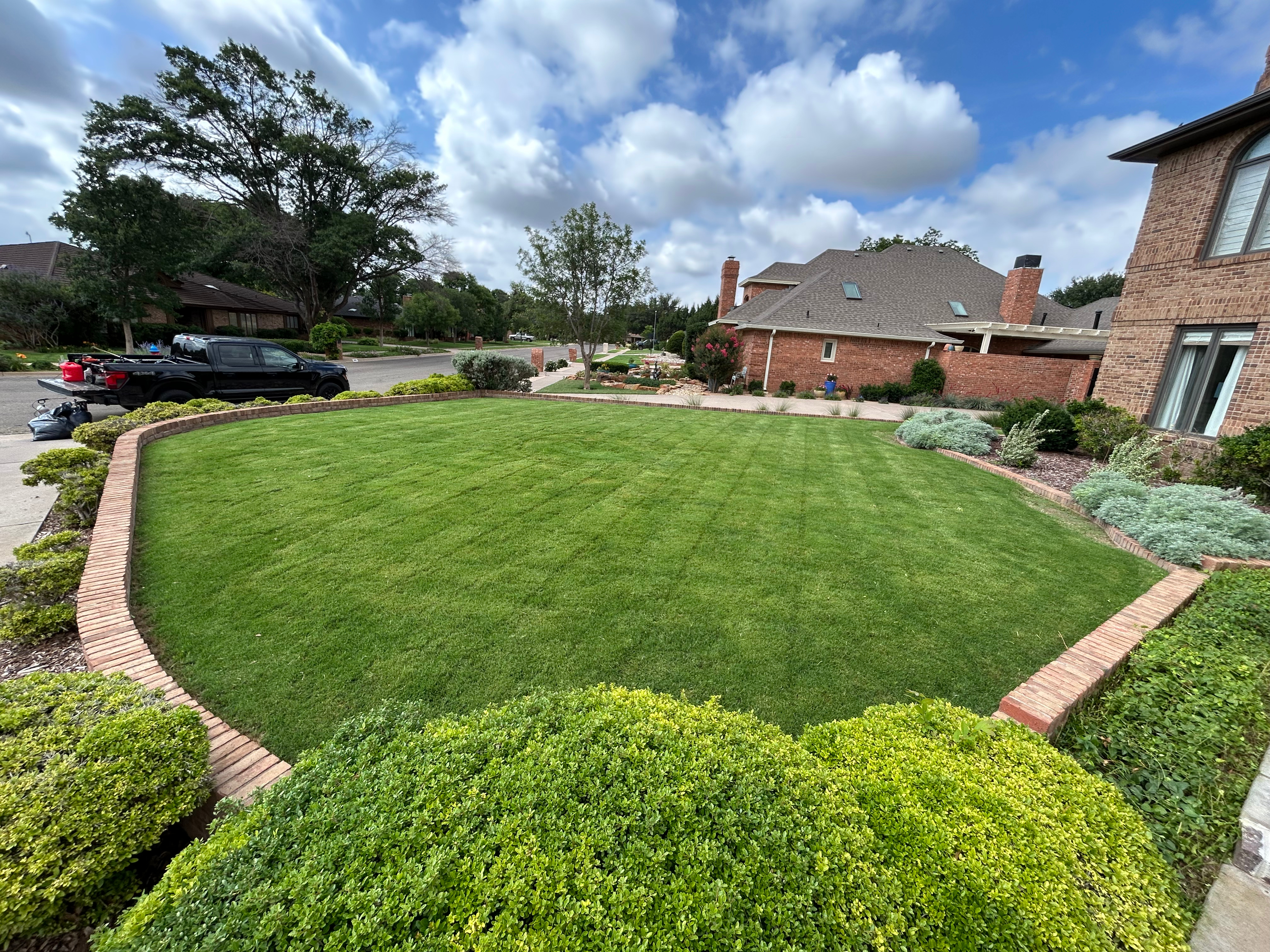 Professional lawn mowing and edging